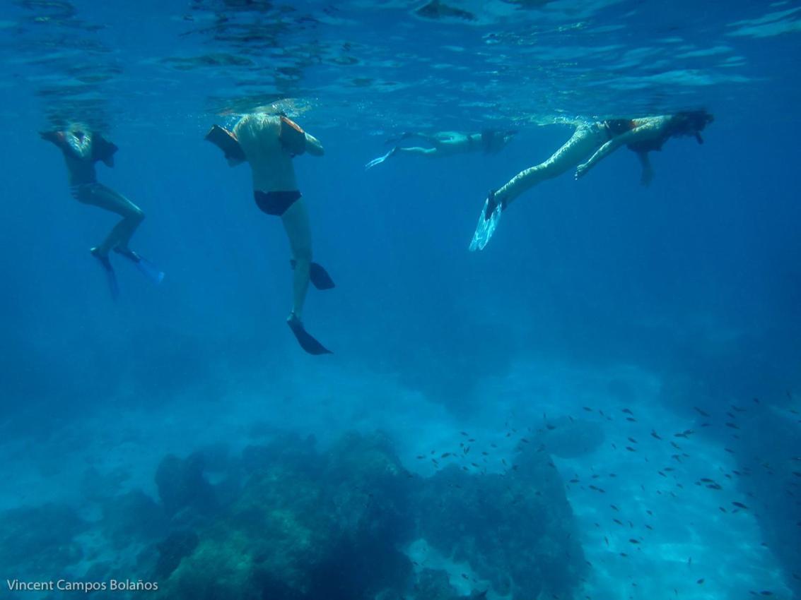 Tapirus Playa Διαμέρισμα Drakes Bay Εξωτερικό φωτογραφία