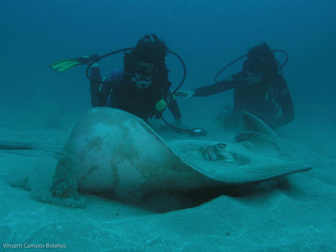 Tapirus Playa Διαμέρισμα Drakes Bay Εξωτερικό φωτογραφία